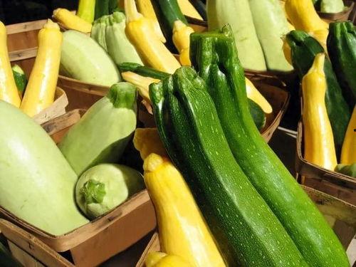 蔬瓜什么季节吃,不同季节的蔬瓜食用指南
