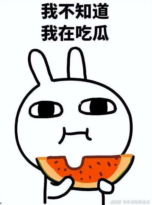 星艺吃瓜后续,揭秘娱乐圈背后的真相与反转