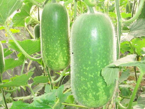 吃瓜尾流,网络热点的幕后推手