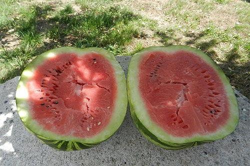 梦见和尚吃瓜,和尚与瓜果的神秘邂逅