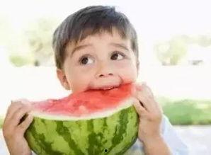 田小野带你吃瓜,尽享味蕾盛宴