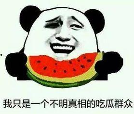 吃瓜就行,吃瓜群众视角下的娱乐圈风云