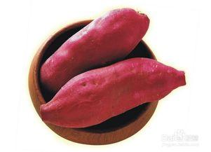 孕妇吃土瓜,营养与安全并重