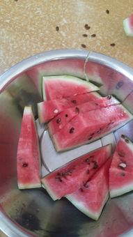 什么都不懂还敢吃瓜,揭秘吃瓜群众的狂欢世界