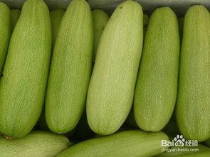 大娇吃白瓜,大娇的夏日白瓜美食之旅