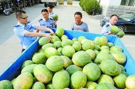 308教室吃瓜群,吃瓜群里的欢乐时光