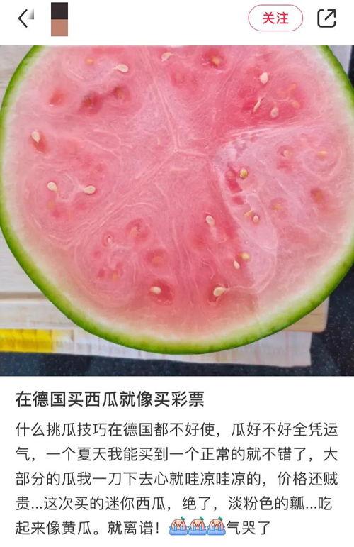 全世界吃瓜自由,多元文化的碰撞与融合